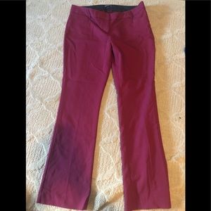 Express berry barely boot pant